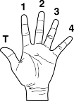 music theory music theory